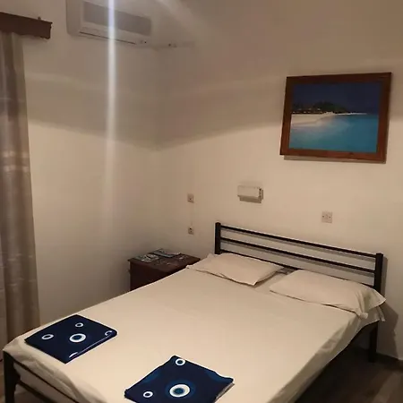 Guest house Vlachos