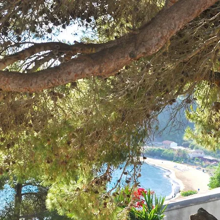 Apartment Takis On A With Private Garden And Sea View *