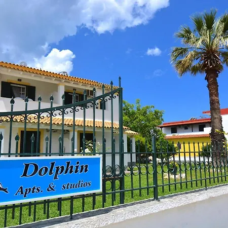 Dolphin & -next To The Apartment *