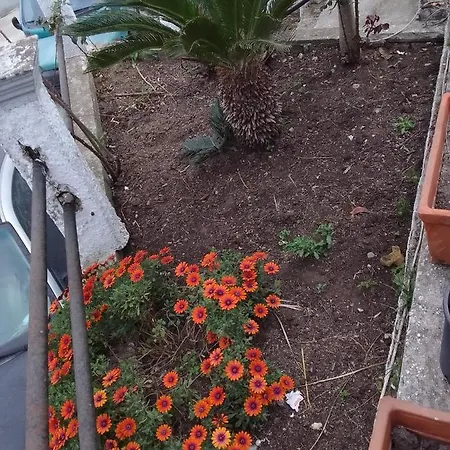 Serenity House Apartment Petriti (Corfu)
