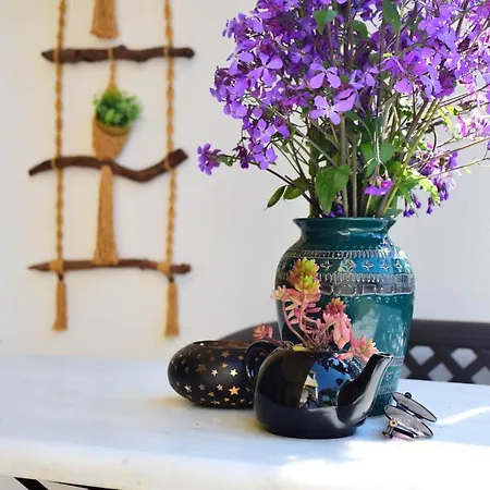Ionian Senses - Corfu, Menigos Apartment