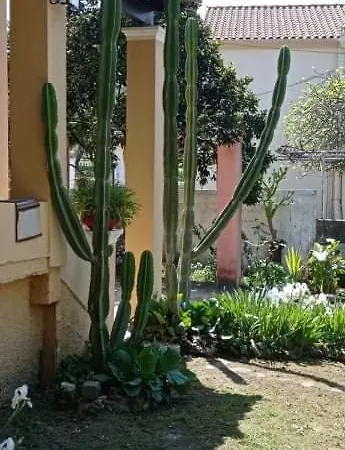 Holiday home Roula's House *