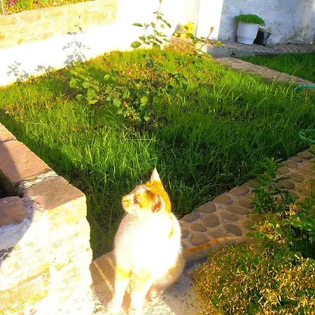 Panorama *