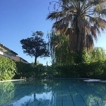 Ilena Hotel 2*