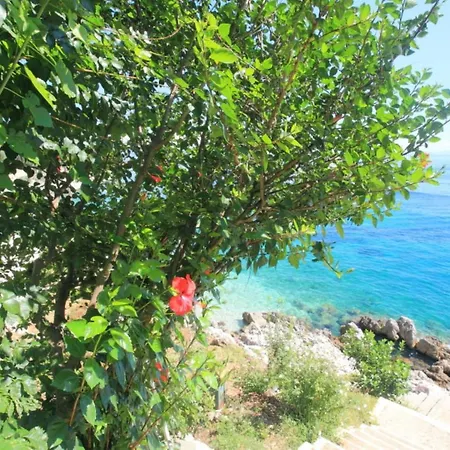 Sea Front Alexandra Apartment Nisaki (Corfu)
