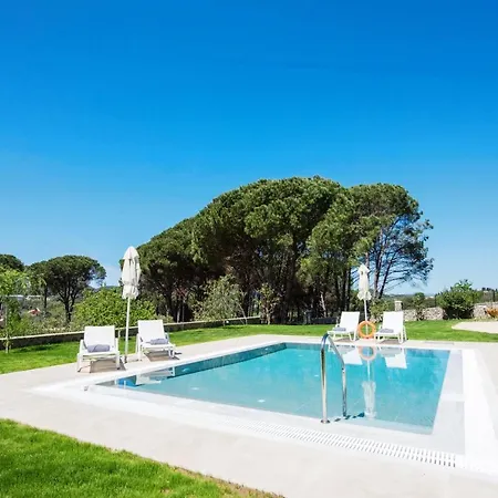 Villa Pine Forest