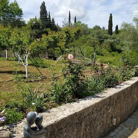 Villa Elm *