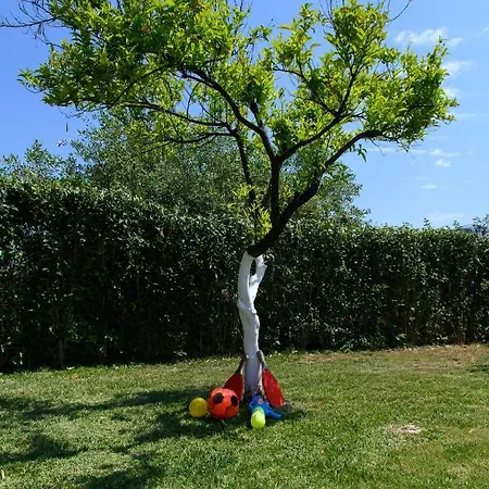 Holiday home Rosa