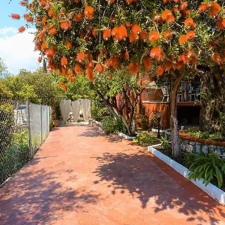 Villa The Red House In