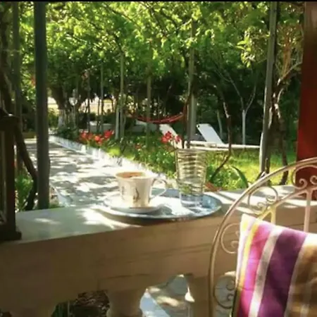 Olive Tree Holiday home