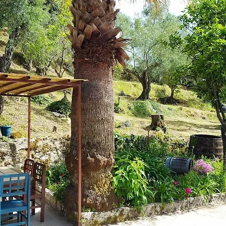 Apartment Eleonas-olive Grove Traditional