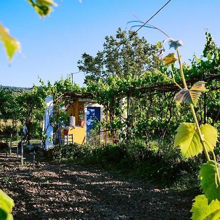 Doreta * Roda (Corfu)