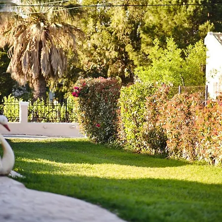 Apartment Doreta Roda (Corfu)