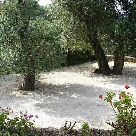 Bozikis & Paleokastritsa