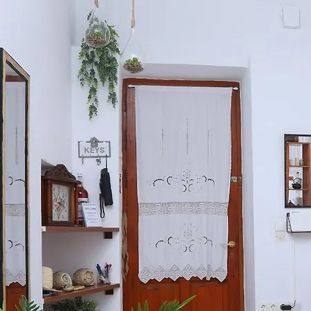 Olive Tree Holiday home Viros