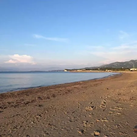 Panorama *