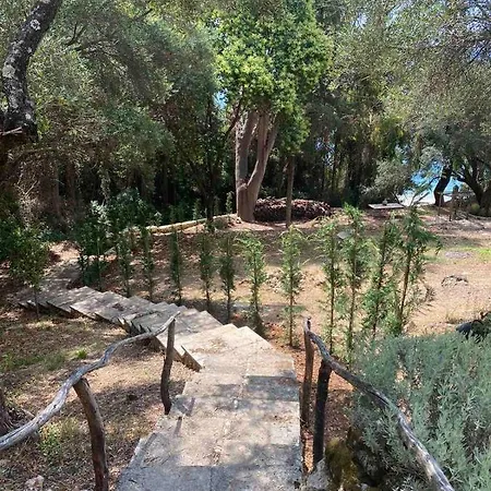 Villa Armonia *