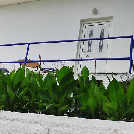 Apartment Blue And White 1