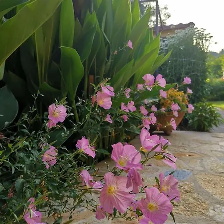 Holiday home Lora's House Velonades (Corfu)