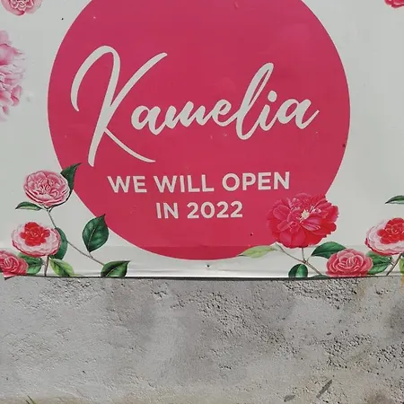 Aparthotel Kamelia 2022 Corfu Sant George Agios Georgios (Corfu)