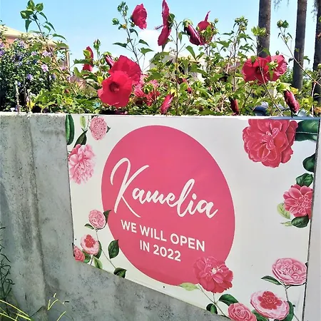 Kamelia 2022 Corfu Sant George Aparthotel
