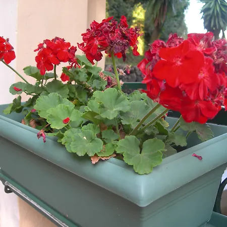 Aparthotel Karmar Dassia (Corfu)