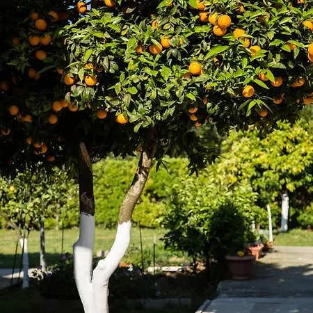 Paradise Village 3* Roda (Corfu)