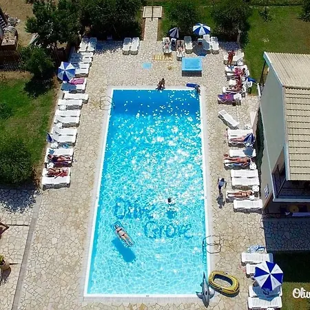 Olive Grove Kavos