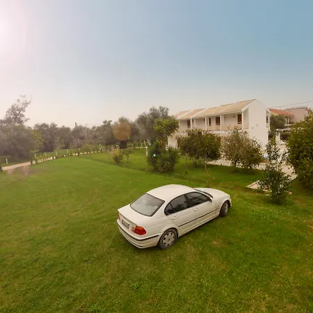 Olive Grove * Kavos