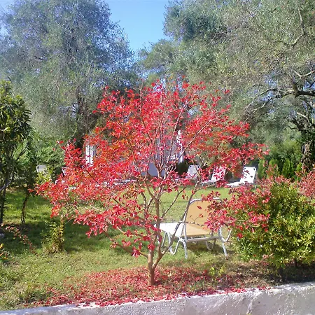 Apartment Marilena &