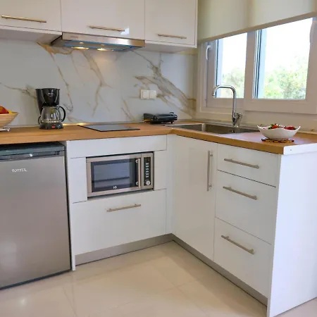 Katoi Agios Georgios Pagoi Holiday home *