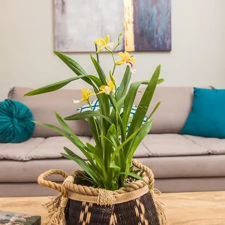 Apartment Miltonia