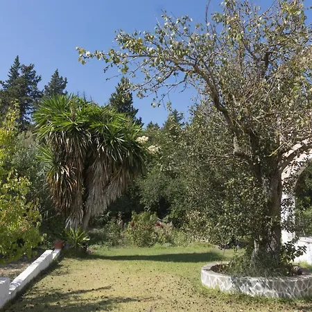 Apartment Dora Pagoi 3 Agios Georgios Pagon