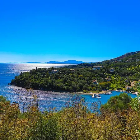 Theophilos Dio * Agios Stefanos (Thinali)