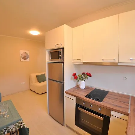 Apartment Dina *