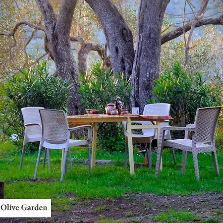 House In The Olive Garden * Agios Ioannis (Corfu)