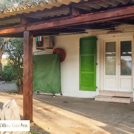 House In The Olive Garden Apartment *