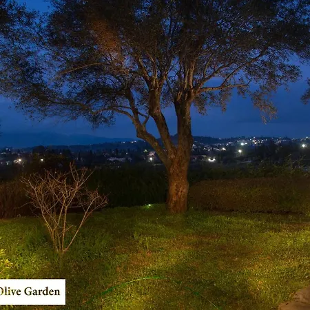 Apartment House In The Olive Garden *