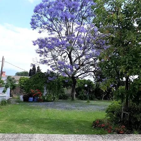 Our House Holiday home Kanali (Corfu)