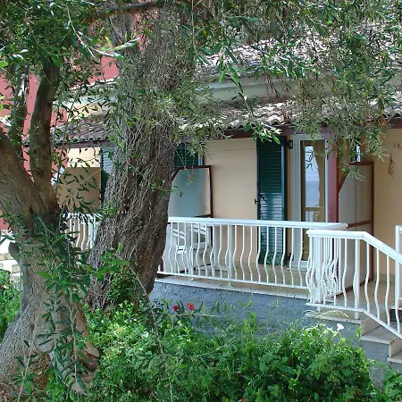 Hotel Oasis 3*