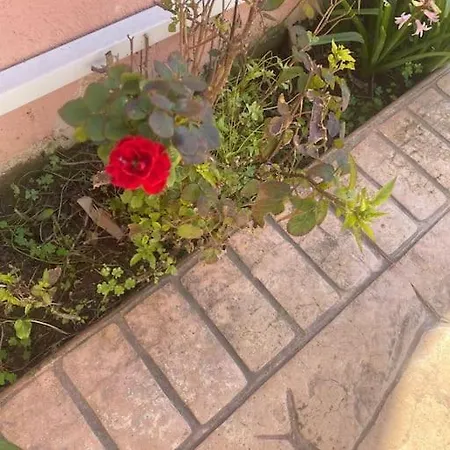 Spiros Place Corfu Holiday home Agios Stefanos Avliotes (Corfu)