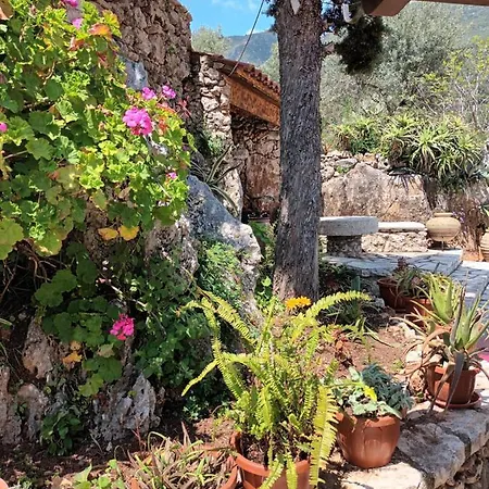 Apartment Aphrodite's Maisonette On Corfu Island Barbati