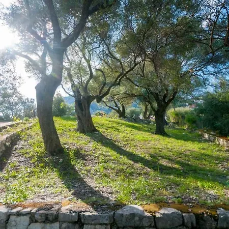 Spyros Villa