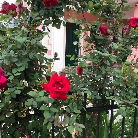 Marili Roda (Corfu)