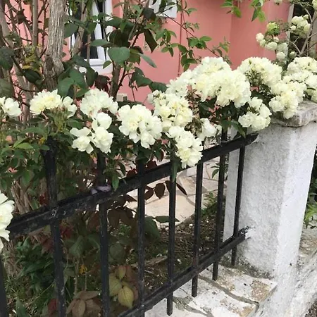 Marili Roda (Corfu)