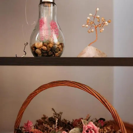Coro Cozy House Holiday home *