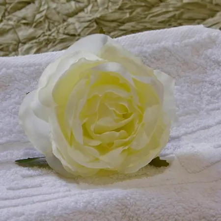 Gardenia Corfu Town Apartamento