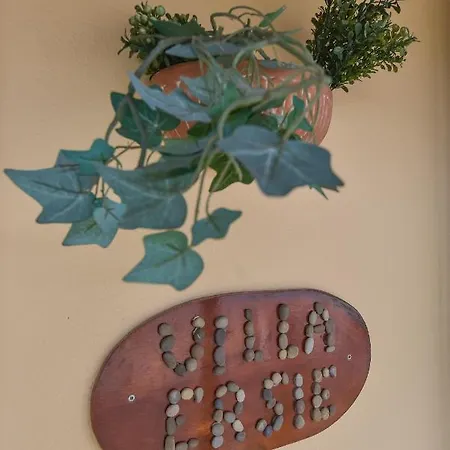Ersie's Holiday Melikia