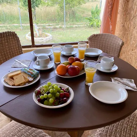 Holiday home Katafigio_corfu Nature