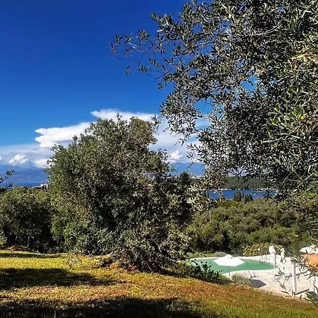 Sania Villa